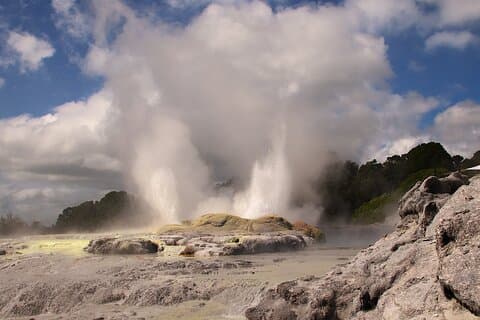 Rotorua Ganztagesabenteuer in Glühwürmchenhöhle und Redwoods