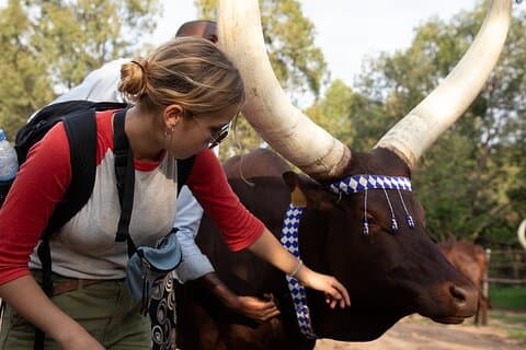 Excursão cultural de 2 dias em Ruanda, onde o desperdício se torna esperança