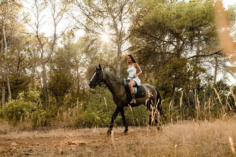 Douro Valley Horseback Riding and Forest Lunch with Wine Tasting