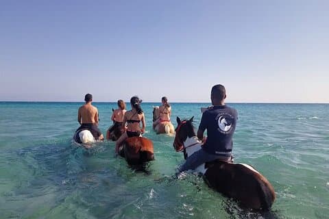 Zonsondergang Paardrijden Avontuur Woestijn en Zee in Hurghada