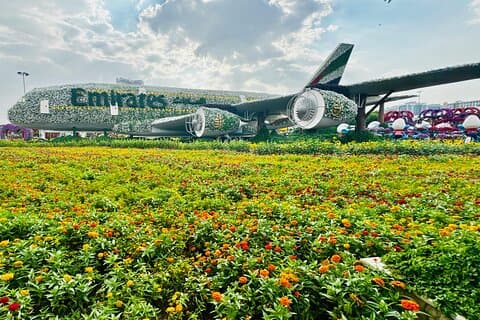 Dubai Miracle Garden indgang med hotel transfer