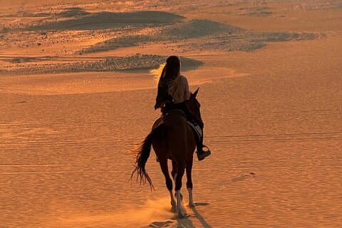 Fayoum Magic Lake Desert Horseback Ride Experience
