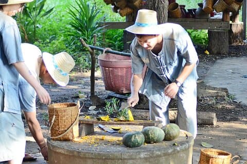 Half day Ethnic Elephant Sanctuary and Bee Farm