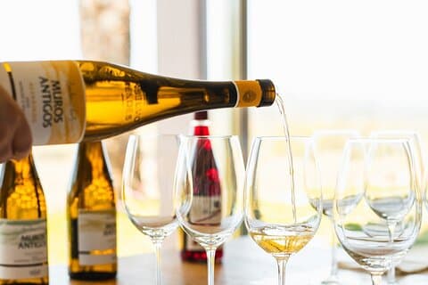 Wine Tasting at Quinta da Torre Anselmo Mendes
