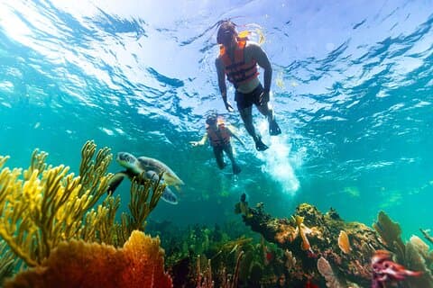 3-in-1 Puerto Morelos: Snorkeling, Tequila & Beachside Lunch