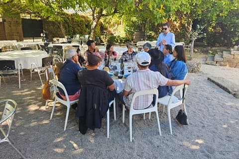 Tour or Disposal- Douro Valley Wine Region with a Sommelier