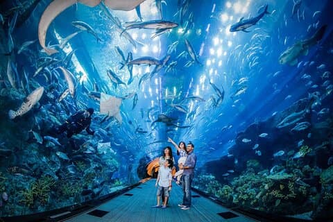 Istanbul Aquarium Tour met hoteltransfer