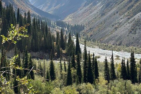 One Day Ala Archa National Park Adventure from Bishkek
