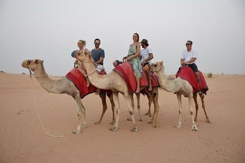 Morgon 30 minuters privat kamelsafari i Dubai