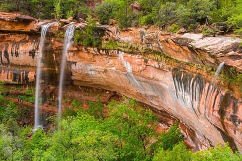 6 Night Yellowstone, Zion, and Bryce Vacation with lodging