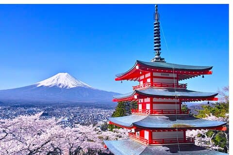 Mount Fuji panoramaudflugt fra Tokyo