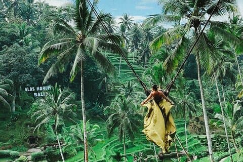 Bali Swing, Monkey Forest and Waterfall - Private Tour
