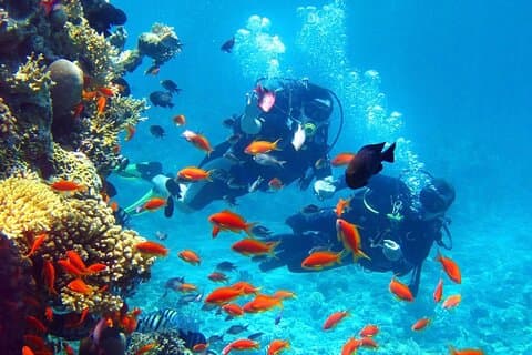 Immersioni Principianti al villaggio di Agia Efimia sull'isola di Cefalonia