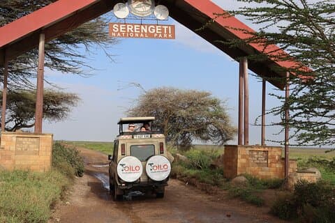 4 - Tagestour zum Tarangire Serengeti Ngorongoro