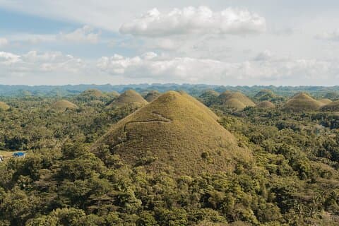 Bohol Day Tour: Chocolate Hills, Tarsiers & Loboc River Buffet