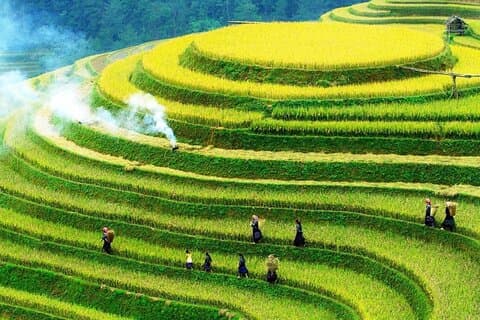 Sapa No-Trek Eco Tour: Vale Muong Hoa & Ta Van, Foot Spa, Café