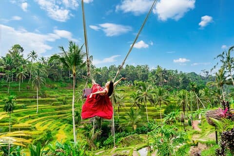 Tour privato di Ubud: cascate, tempio e terrazze di riso