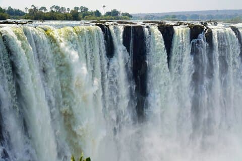 Luxury Car Rentals for Business and Safari Adventures