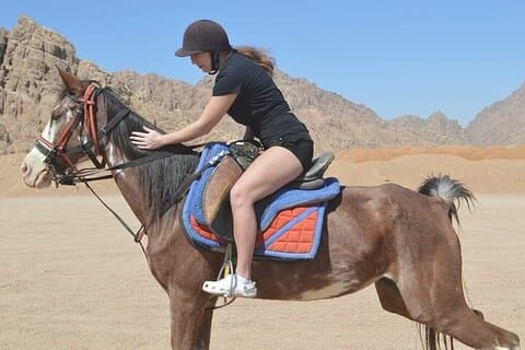 Paseo a caballo de 1 hora en el desierto con traslados : Hurghada