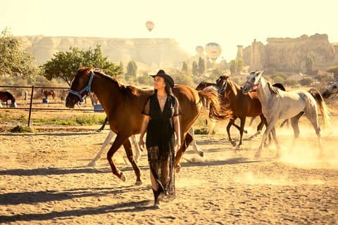 Cappadocia Running Horses Fotografera med korta videoklipp