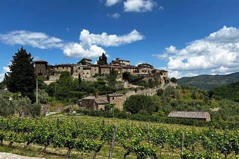 Chianti Reis Van Florence naar Boutique Wineries