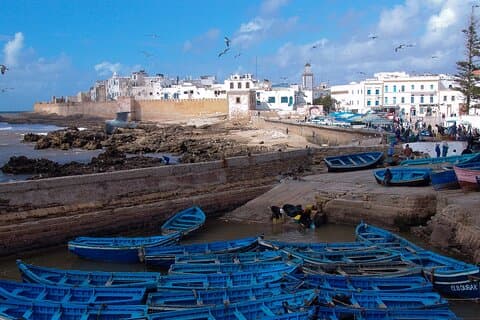 Escursione di un giorno a Essaouira da Agadir Esplora la Medina e altro