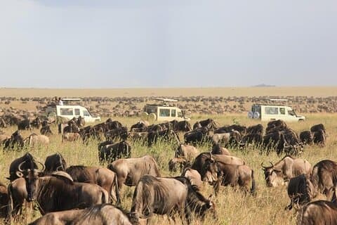 4 giorni Tanzania Discovery Safari Tarangire e Serengeti Adventure
