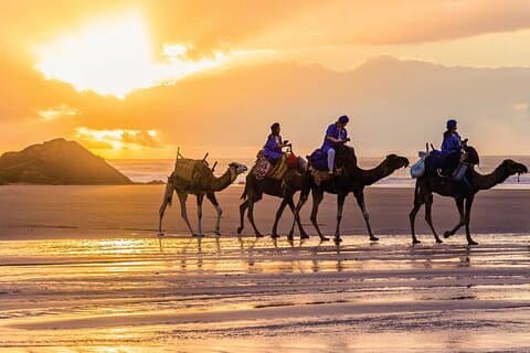 VIP Tangier Private Day Tour from Tarifa - Ferry & Camel Ride