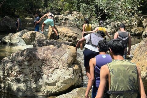 Visite privée de la forêt tropicale d'El Yunque et brunch à la plage