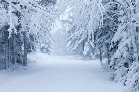 Acadia National Park Winter Wonderland Private Driving Tour
