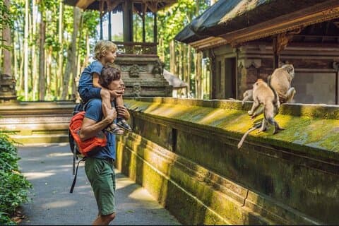 Das Beste von Ubud Tagestour : Private All Ticket Inclusive