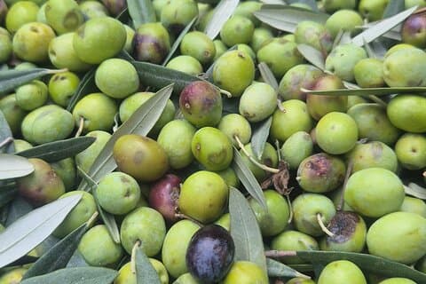 Degustação de azeite, almoço e degustação de vinhos nas colinas de Sorrento