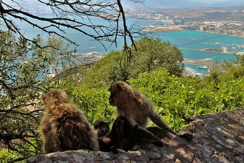 Visite de Gibraltar et Mijas au départ de Malaga