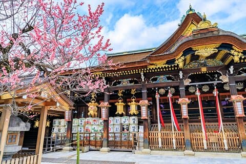 Explore Hidden Sites in Kyoto with Private Transportation