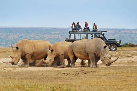 Rwanda's Only Group Safari to Akagera