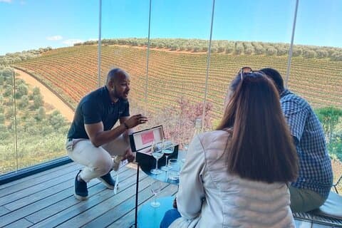 Visite privée de dégustation de vin de Cape Winelands