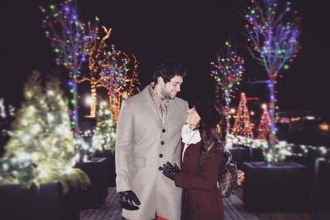 Winter Festival of Lights Tour from Niagara