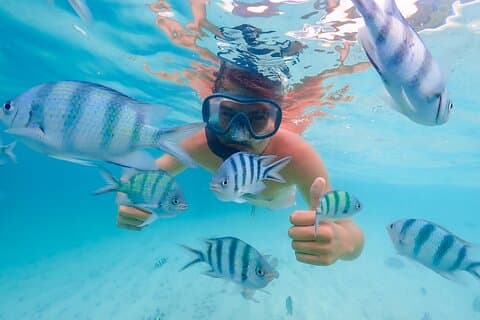 Excursão à ilha de Bacardi com catamarã, praia e almoço