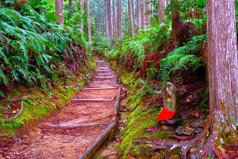 和歌山：熊野古道を歩いて熊野本宮大社へ