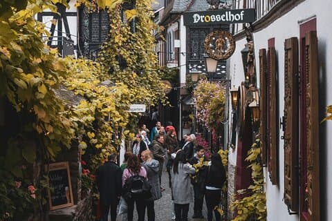 Excursión privada de medio día a Frankfurt Rüdesheim con paseo en teleférico