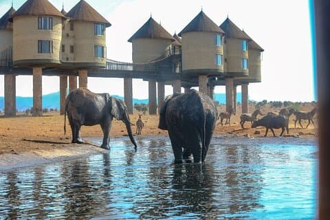 2 Days Safari Adventure at Salt Lick Lodge