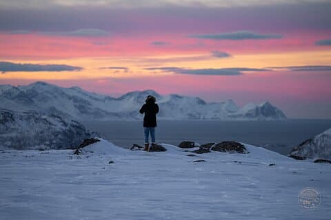 Voyage en petit groupe dans les fjords arctiques avec pique-nique panoramique