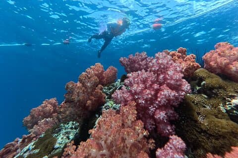 Private Snorkeling Trip Route A by Long Tail Boat