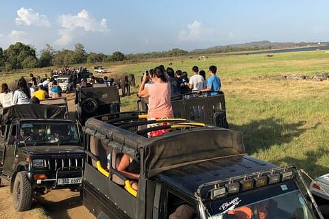 Sri Lanka Tour privado de 4 días por la vida silvestre y la playa – Yala, Ella, Galle