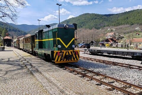 From Belgrade: Shargan Eight Train and Tara National Park
