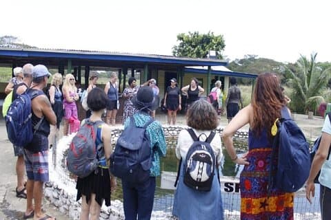 FIJI : Officiell Sabeto Hotspring och Mudpool Tour