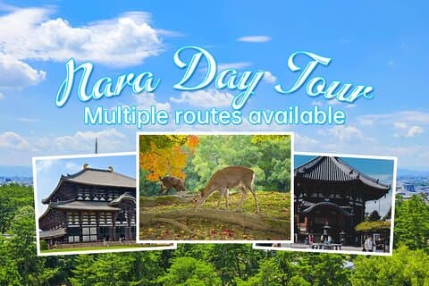 De Osaka, Nara Tour de um dia personalizável privado