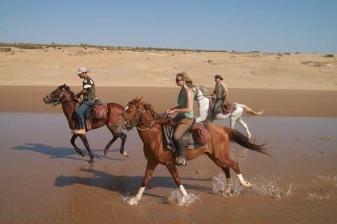 Sea & Sands One-Hour Horseback Escape in Sharm El-Sheikh