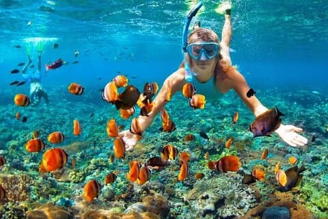 Cancún Motorbåt och snorkling äventyr med Hotel Pickup