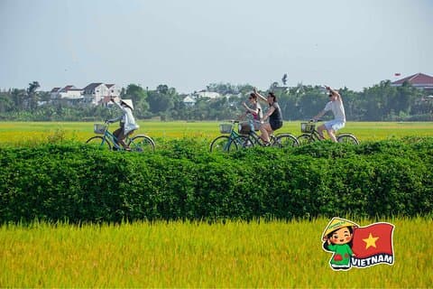Tra Que Organic Village Bike Tour von Hoi An/Danang